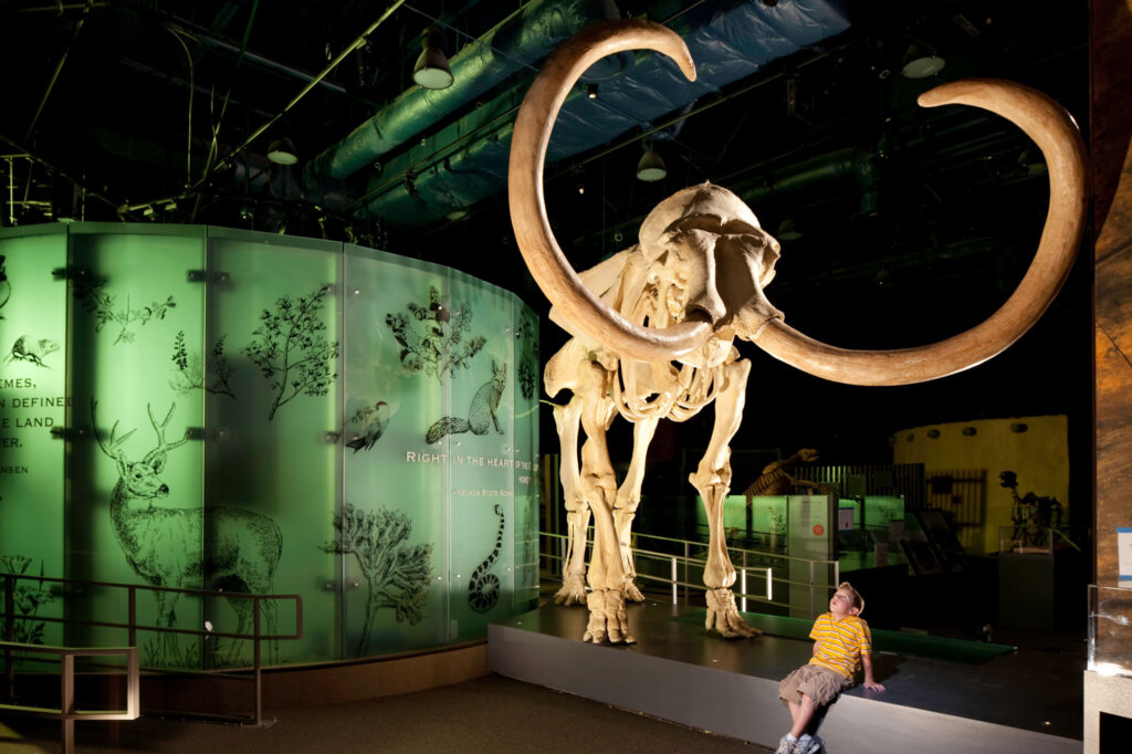 A picture of the inside of the museum