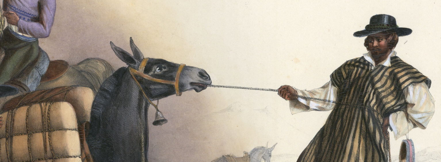 An image of a person pulling a horse with a rope