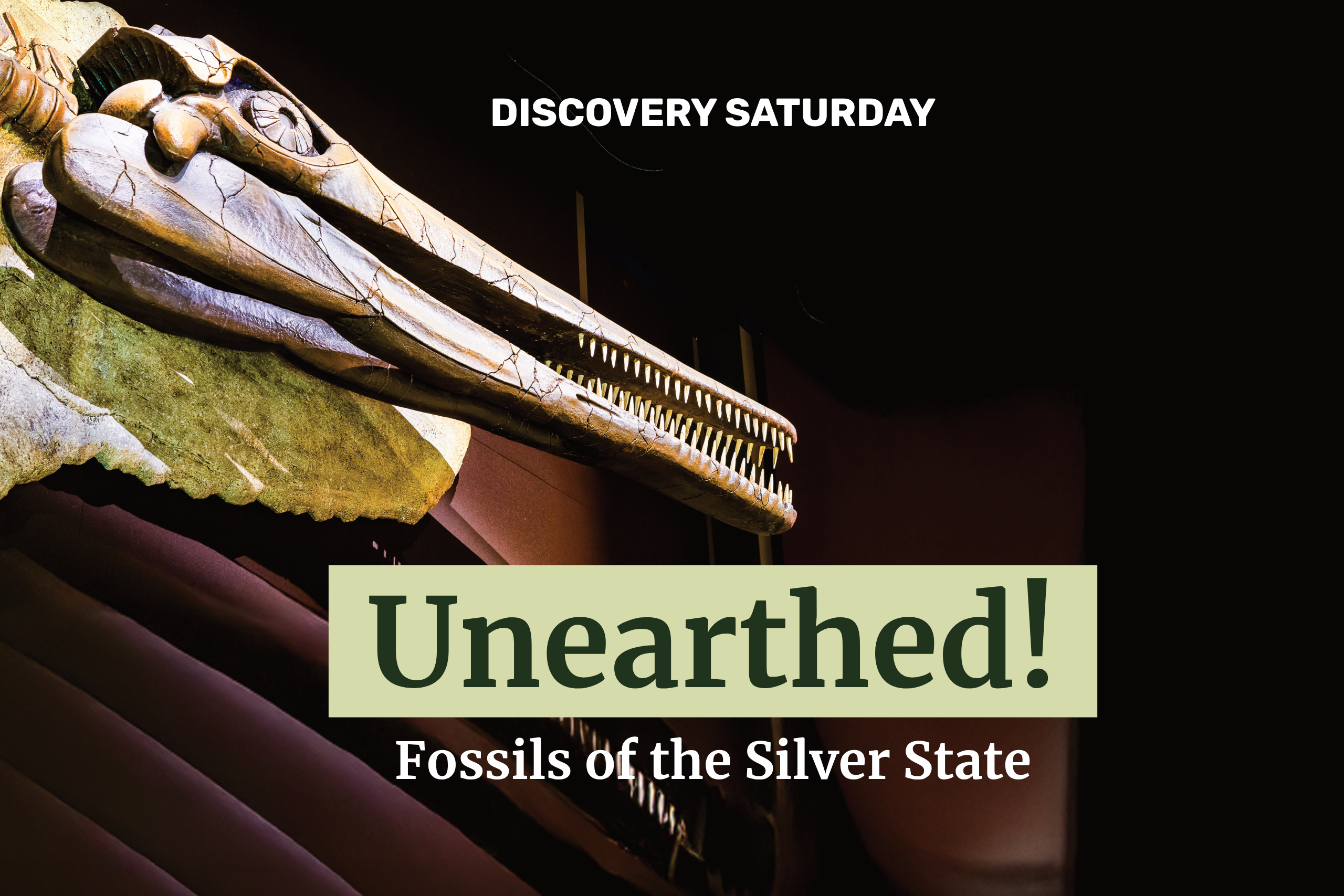 A large marine reptile fossil is displayed with the text: Discovery Saturday. Unearthed! Fossils of the Silver State. The setting is dramatic with dark background and focused lighting on the fossil.