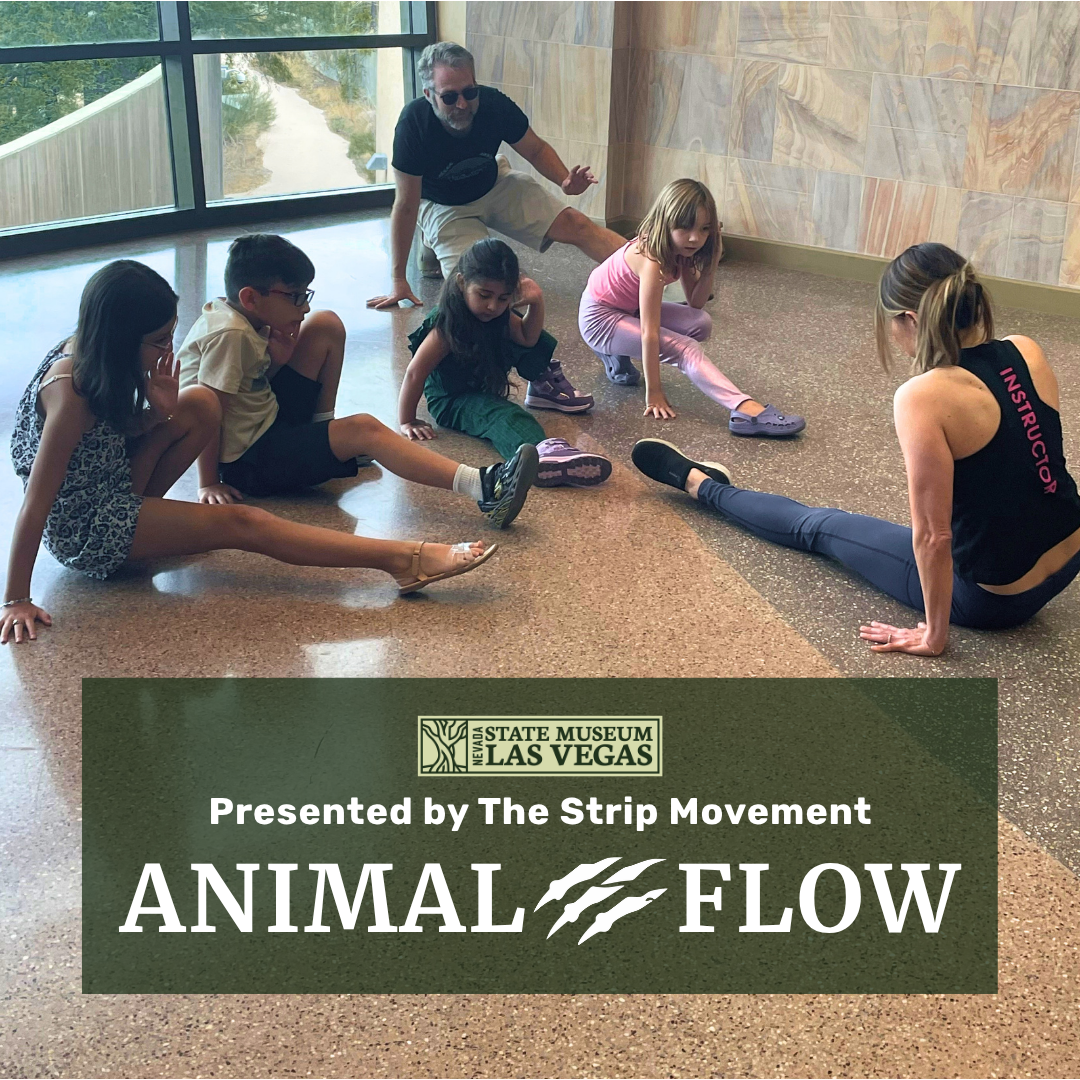 An instructor leads four children and one adult in floor exercises at the Las Vegas State Museum. Animal Flow presented by The Strip Movement is written on a graphic at the bottom of the image.