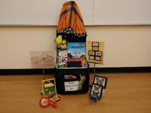 Photo of the Eco Challenge Traveling trunk with associated butterfly books and artifacts