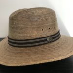 Fedora Styled Hat