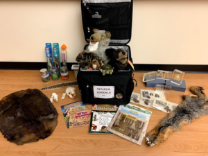 Nevada Animals Trunk with contents